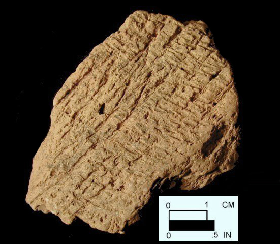 Mockley cord-marked body sherd from Dorr Site 18AN19/69.